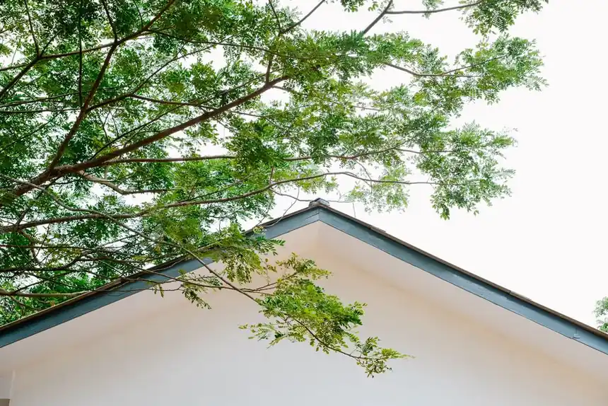 A simple roof contrasts with lush green tree branches on a clear day.