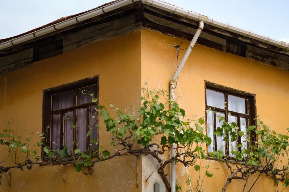 Benefits of Downspout Cleaning